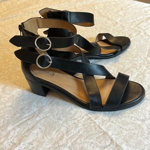 Torrid Black Heeled Shoes with Ankle Straps and Adjustable Buckles | Zipper Back